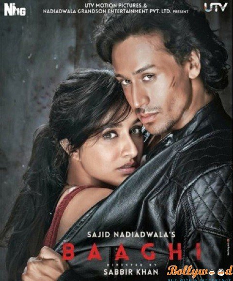 Baaghi new poster